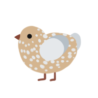 Shake, a beige and mist chicken with a speckle pattern