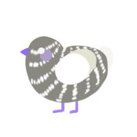 (unnamed), a ash and white chicken with a bar pattern