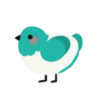 Chick-ku, a white and turquoise chicken with a head pattern