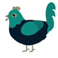 Achernar, a tumblr and sea chicken with a head pattern