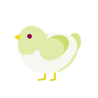 daylily, a white and lemon chicken with a head pattern