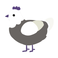 Pennies, a grey and white chicken with a head pattern