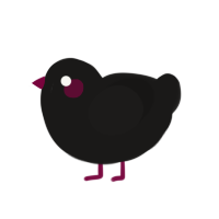 (unnamed), a sable chicken