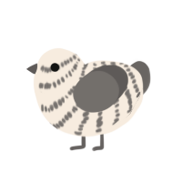 (unnamed), a cream and grey chicken with a bar pattern