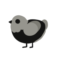 void eyes, a black and ash chicken with a head pattern