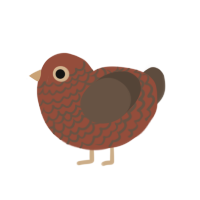 (unnamed), a russet and bark chicken with a lace pattern