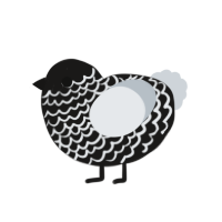 (unnamed), a sable and mist chicken with a lace pattern