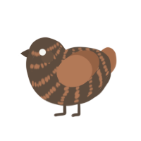 (unnamed), a bark and brown chicken with a bar pattern