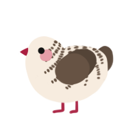 Joy, a cream and bark chicken with a half-bar pattern