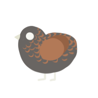 Brownie, a grey and brown chicken with a half-lace pattern