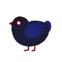 (unnamed), a sable and navy chicken with a lace pattern