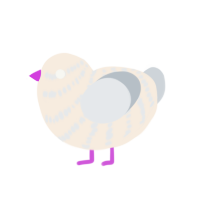 (unnamed), a cream and mist chicken with a bar pattern