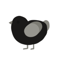 meemo, a sable and ash chicken