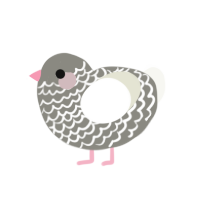 (unnamed), a ash and white chicken with a lace pattern