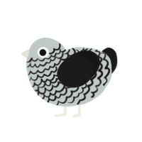 (unnamed), a silver and sable chicken with a lace pattern