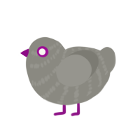 (unnamed), a ash chicken with a bar pattern