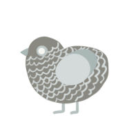 (unnamed), a ash and silver chicken with a lace pattern