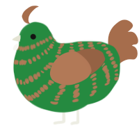 Kelp, a viridian and brown chicken with a bar pattern