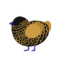 Golden Fart, a black and gold chicken with a lace pattern