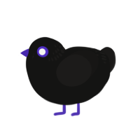 (unnamed), a black and sable chicken with a neck-band pattern