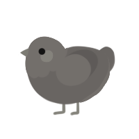 rock, a grey chicken with a head pattern