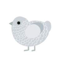 (unnamed), a mist chicken with a lace pattern