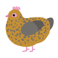 Little man, a gold and grey chicken with a speckle pattern