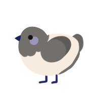 Blueberry, a cream and grey chicken with a head pattern