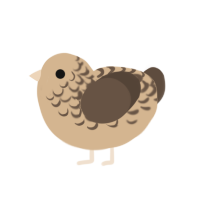 Coffee cake, a beige and bark chicken with a half-lace pattern