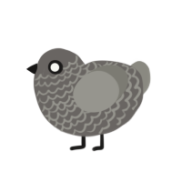 (unnamed), a grey and ash chicken with a lace pattern