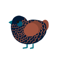 (unnamed), a tumblr and russet chicken with a lace pattern