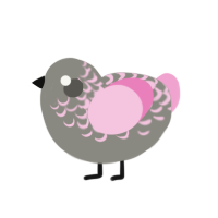 (unnamed), a ash and pink chicken with a half-lace pattern