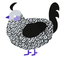 (unnamed), a mist and black chicken with a double-lace pattern