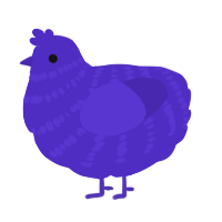 Indie, a indigo chicken with a bar pattern