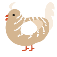A beige and cream chicken with a half-bar pattern