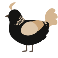 A black and beige chicken with a neck-band pattern