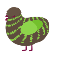 Kiwi, a bark and grass chicken with a bar pattern