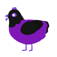 Phantom, a violet and black chicken with a head pattern