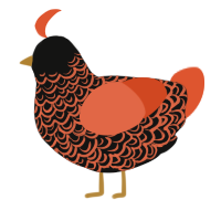 halloween, a black and vermilion chicken with a double-lace pattern