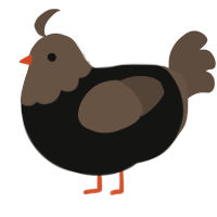 A black and bark chicken with a head pattern