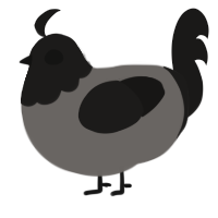 (unnamed), a grey and sable chicken with a head pattern