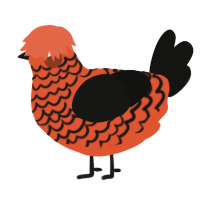 A vermilion and black chicken with a lace pattern