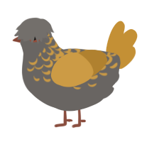 Smoke n Mirrors, a grey and gold chicken with a half-lace pattern