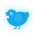 Warbler, a sky chicken