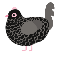 (unnamed), a black and grey chicken with a lace pattern