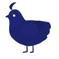 Navy, a navy chicken with a head pattern