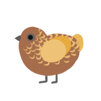 (unnamed), a brown and honey chicken with a half-lace pattern