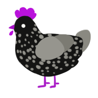 End Portal Texture, a black and ash chicken with a speckle pattern