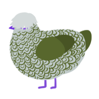 overgrowth, a silver and olive chicken with a double-lace pattern