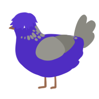 (unnamed), a indigo and ash chicken with a neck-speckle pattern